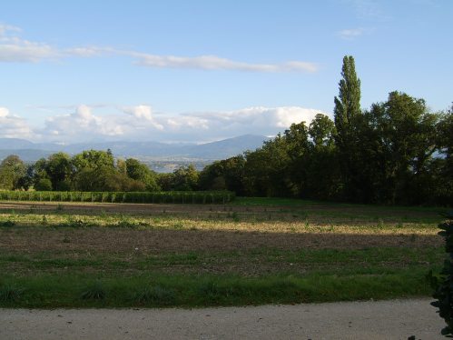 Photo of mountains in the distance, with fields in the foreground.